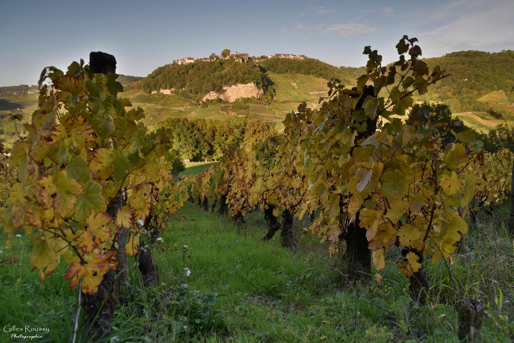 Gite Le Douglas, Vignoble Et Reculees Du Jura - Avec Sauna Lavigny Bagian luar foto